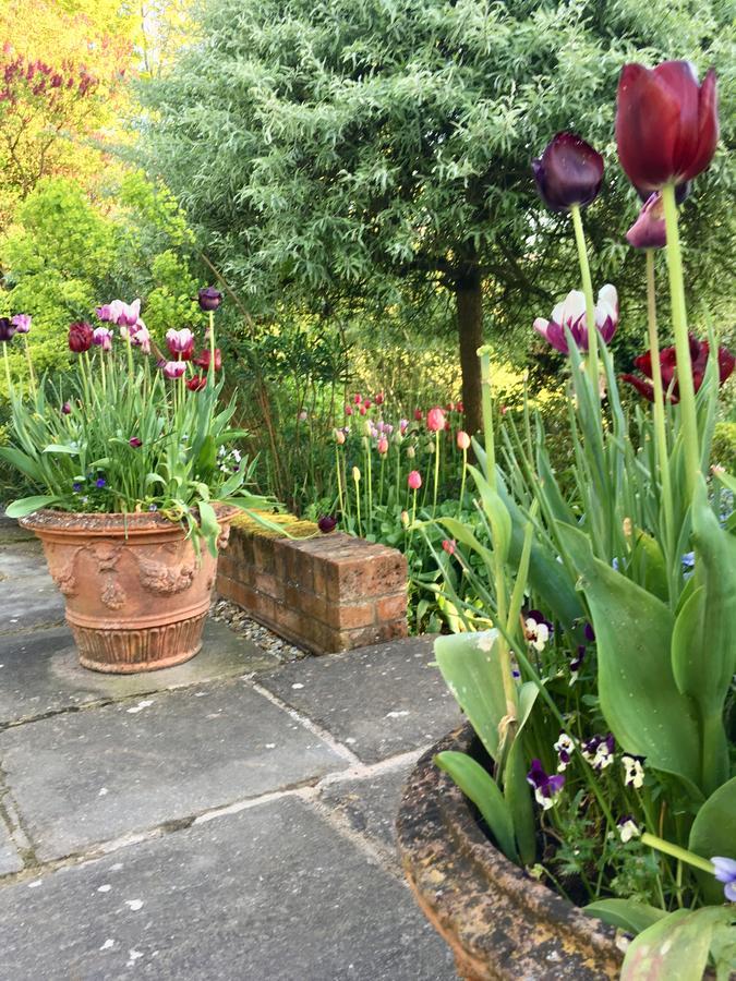 The Old Rectory, Kettlebaston Bed and Breakfast Lavenham Buitenkant foto